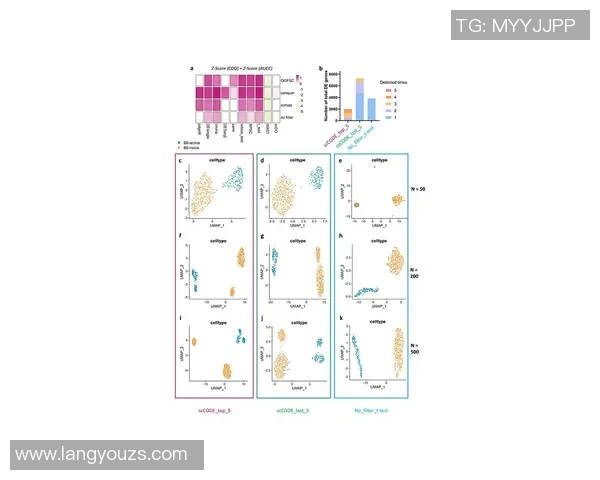 北京篮球队团队协作表现的数据分析与提升策略探讨