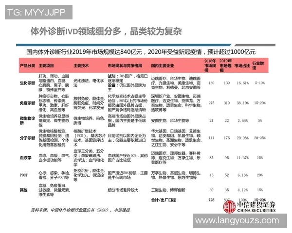 广州与深圳羽毛球队赛后复盘分析团队意识与战术执行的深度探讨 广州与深圳羽毛球队赛后复盘分析团队意识与战术执行的深度探讨