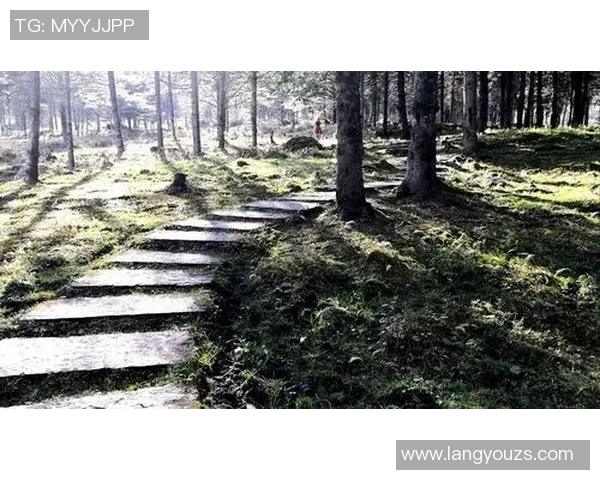 足球明星的霸气宣言与激情瞬间尽在这里,感受他们的魅力与实力 足球明星的霸气宣言与激情瞬间尽在这里,感受他们的魅力与实力