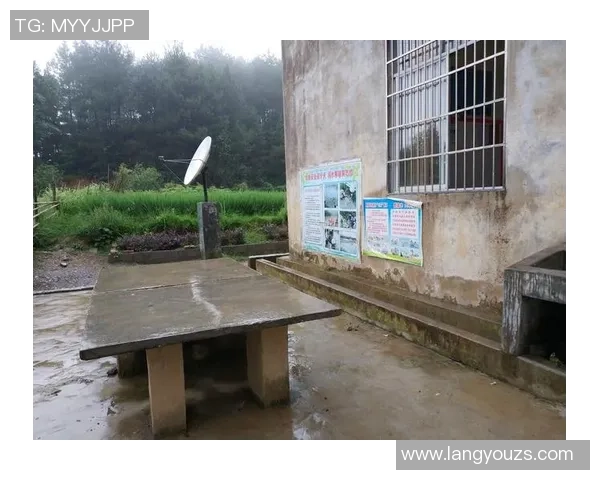 深度对话：陈秀英的乒乓球人生